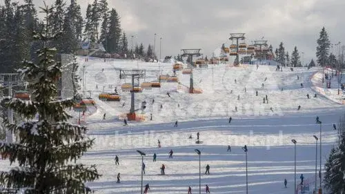 Kotelnica Białczańska